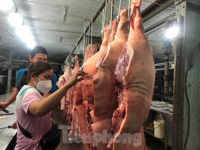 Giá heo bất ngờ bật tăng - Ảnh 4.