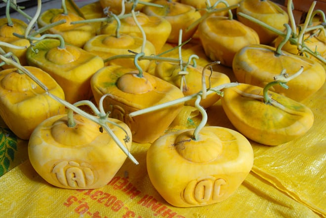 4 loại quả cứ đến Tết lại đắt hàng, có loại cả triệu đồng/quả - Ảnh 12.