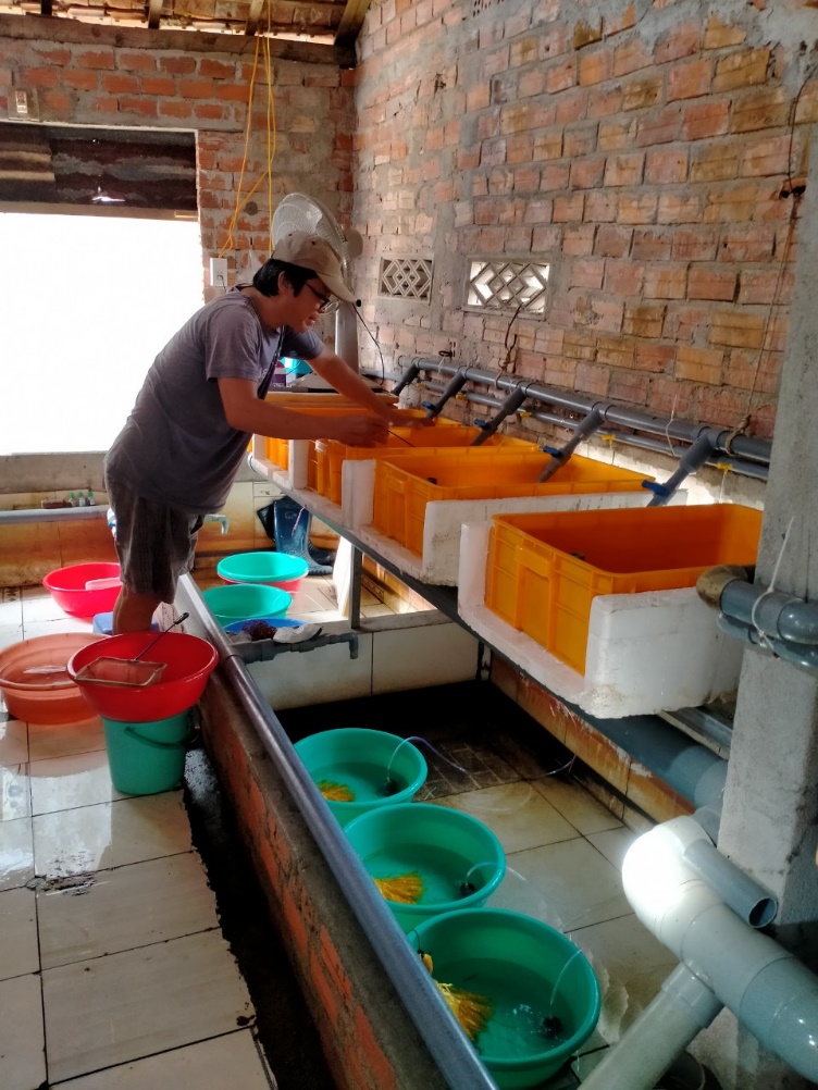 Phú Yên: Làm chuồng nuôi lươn trên cạn kiểu độc, lạ, ông nông dân có doanh thu 1,6 tỷ/năm ngon ơ - Ảnh 4.
