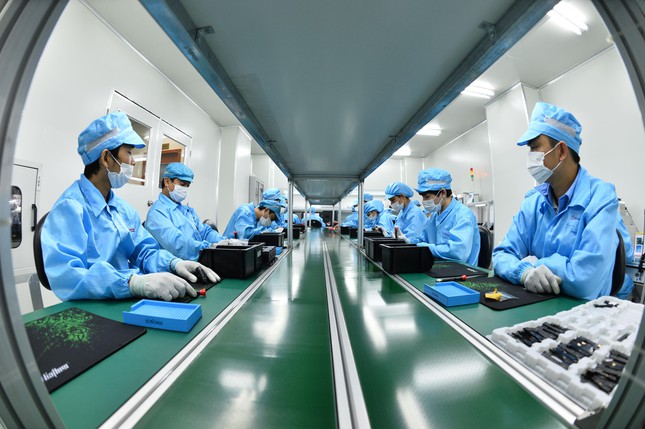 Điểm sáng xuất khẩu - Ảnh 3. Điểm sáng xuất khẩu - Ảnh 3.