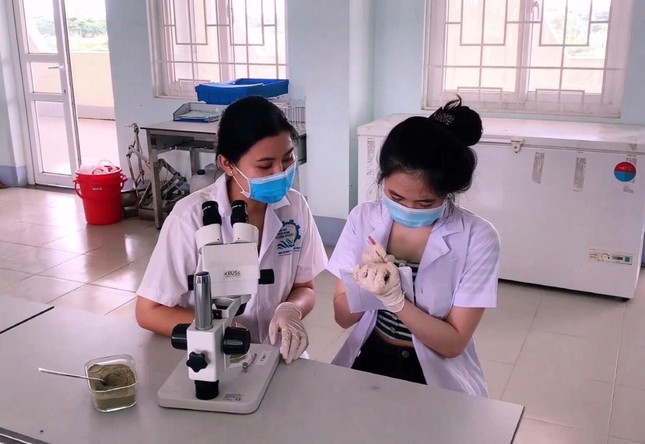 Xà phòng Lá Bàng của sinh viên Đại học Kiên Giang đoạt giải nhất thi khởi nghiệp - Ảnh 2. Xà phòng Lá Bàng của sinh viên Đại học Kiên Giang đoạt giải nhất thi khởi nghiệp - Ảnh 2.