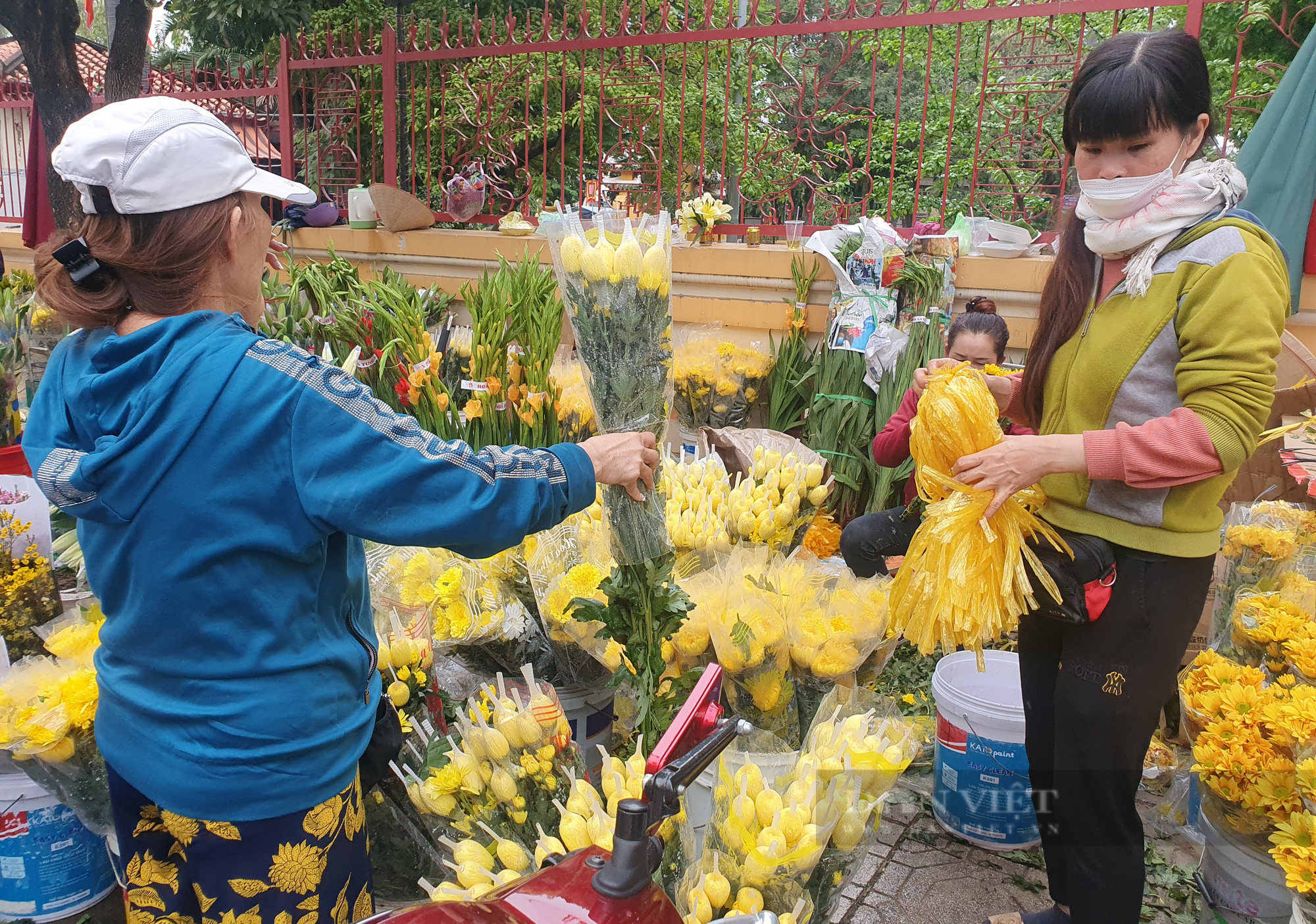 &quot;Bỏng tay&quot; đụng vào hoa cúc, vạn thọ, ly ly, khách than giá đắt quá - Ảnh 2.