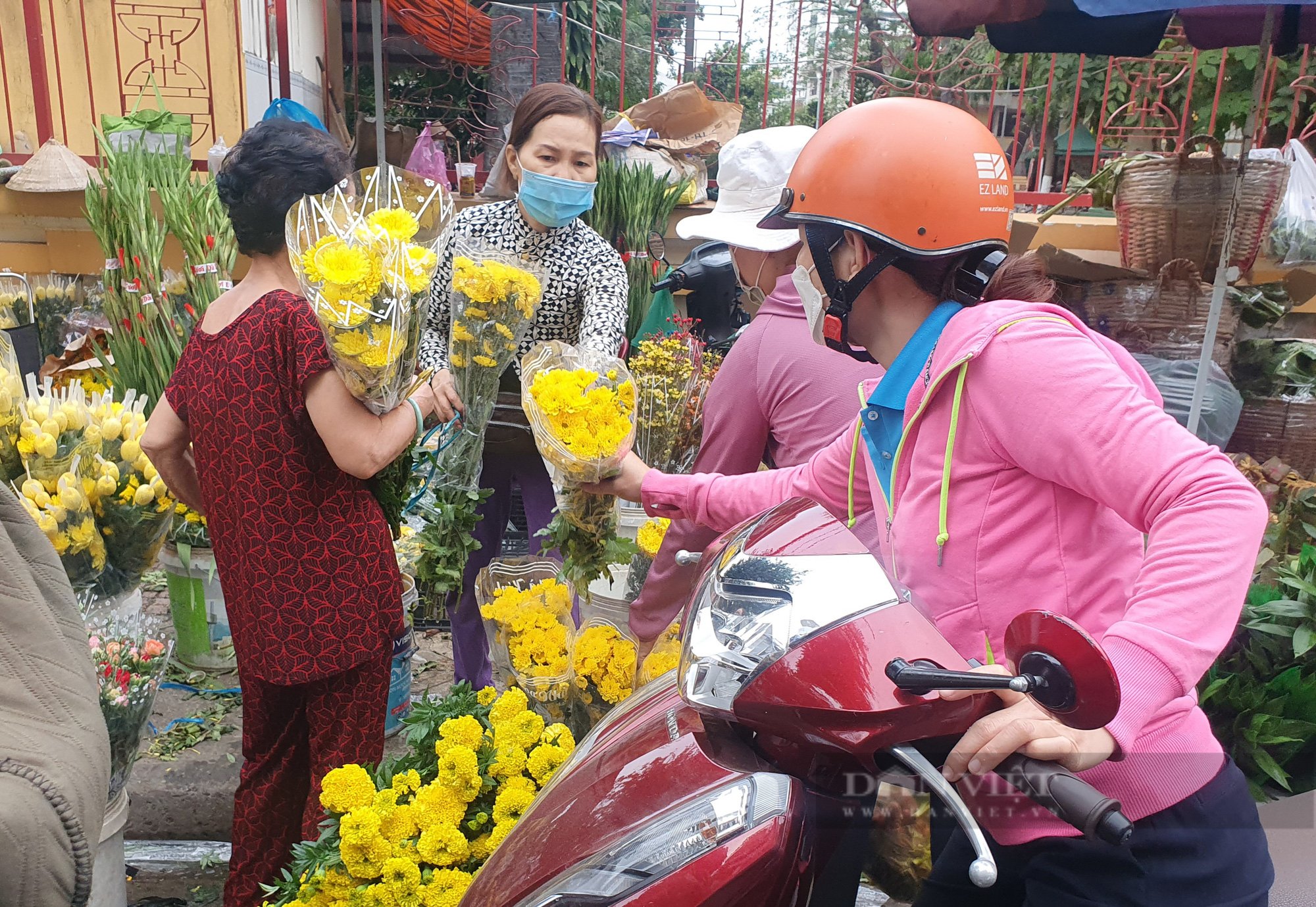 &quot;Bỏng tay&quot; đụng vào hoa cúc, vạn thọ, ly ly, khách than giá đắt quá - Ảnh 4.