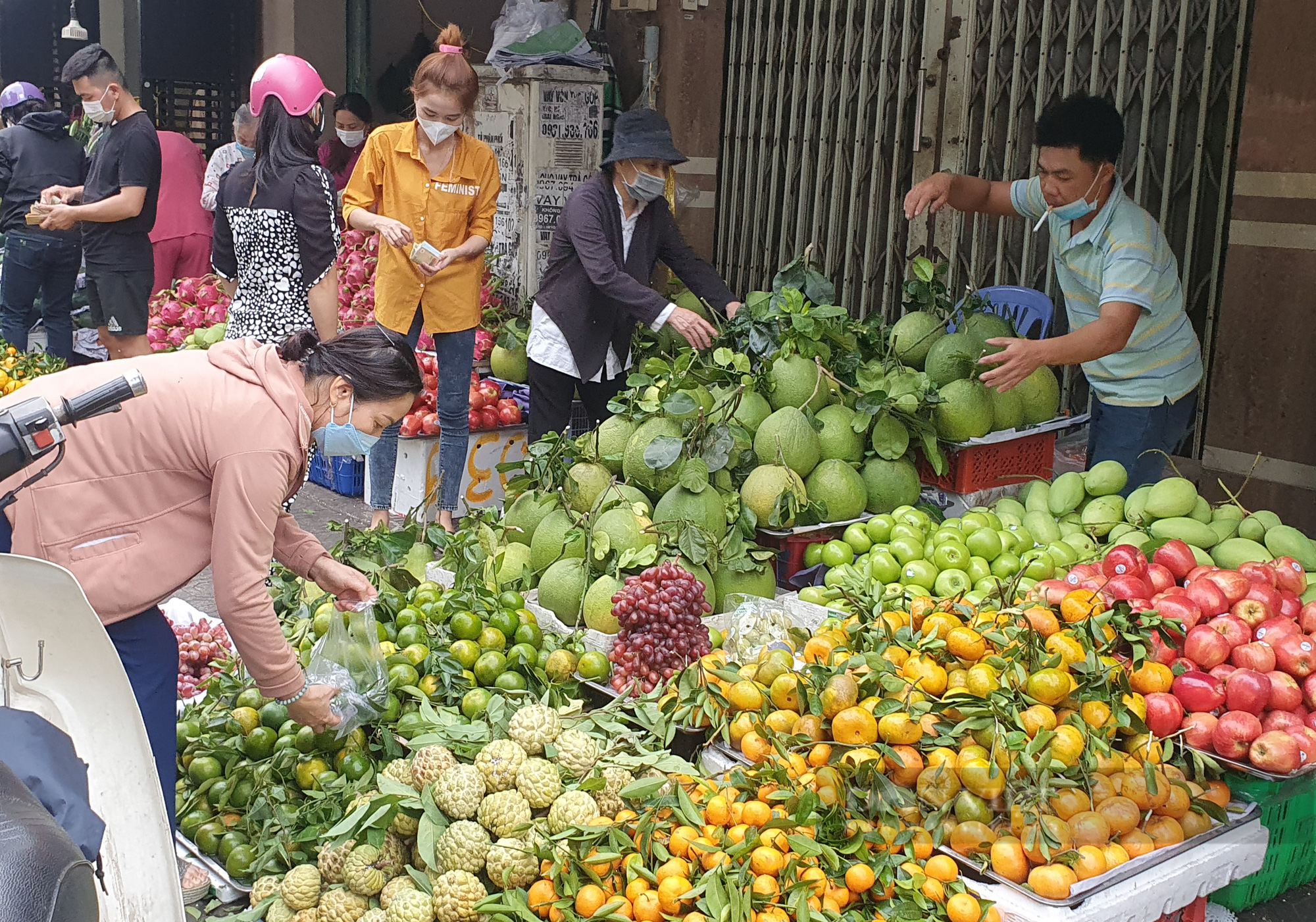 &quot;Bỏng tay&quot; đụng vào hoa cúc, vạn thọ, ly ly, khách than giá đắt quá - Ảnh 5.