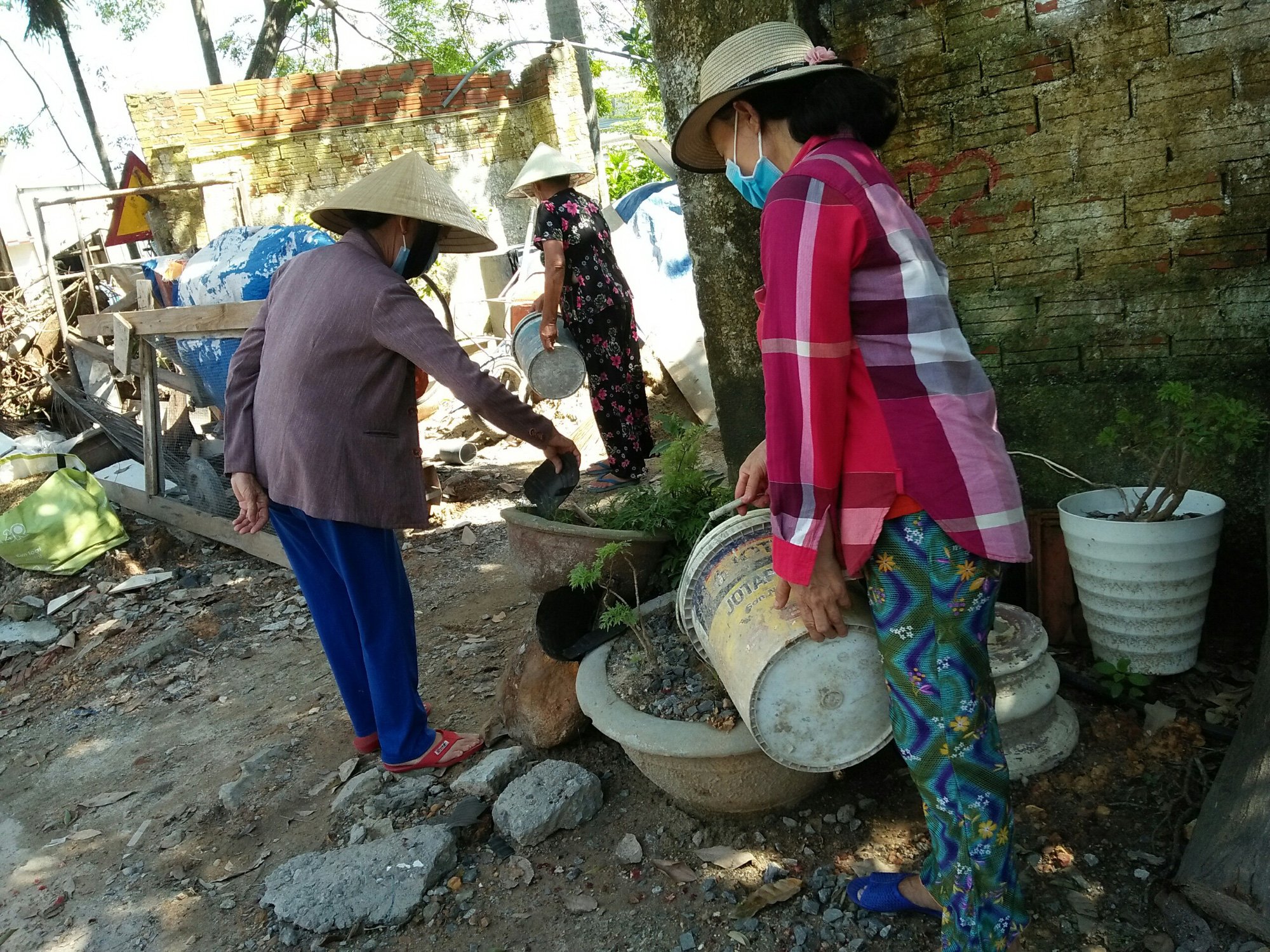 Đà Nẵng: Các cấp Hội Nông dân Hòa Vang tích cực tham gia bảo vệ môi trường - Ảnh 3.