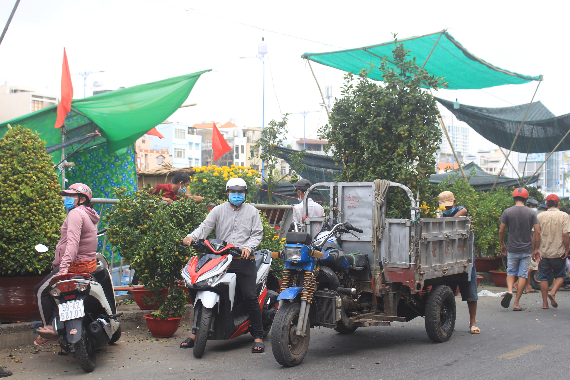 Hoa tươi tăng giá, mai, đào khuyến mãi ngày 28 Tết - Ảnh 3.