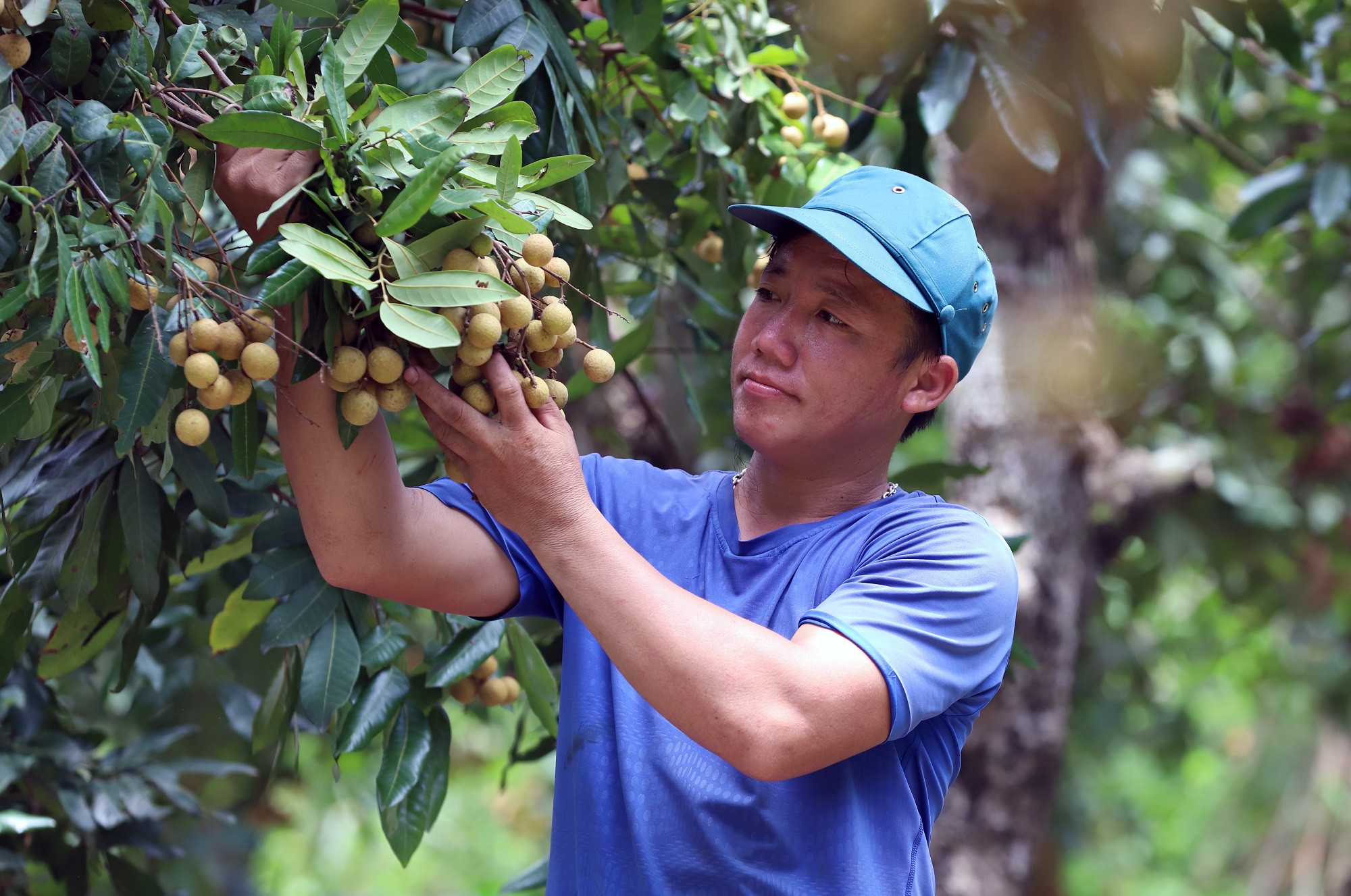 Đầu xuân Nhâm Dần, Bộ trưởng Bộ NNPTNT mong định vị nông nghiệp, nông dân, nông thôn Việt Nam bằng chữ &quot;mở&quot; - Ảnh 2.