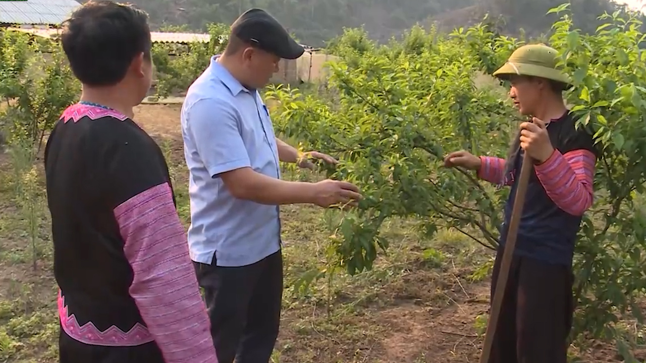 Làng “nguyên thủy” giữa núi rừng Tây Bắc - Ảnh 9. Làng “nguyên thủy” giữa núi rừng Tây Bắc - Ảnh 9.