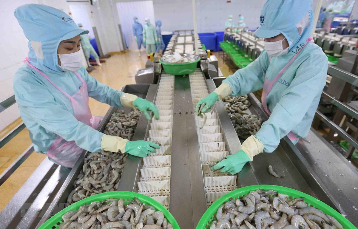 Xuất khẩu tôm sang EU tăng vọt trên 86% - Ảnh 1. Xuất khẩu tôm sang EU tăng vọt trên 86% - Ảnh 1.