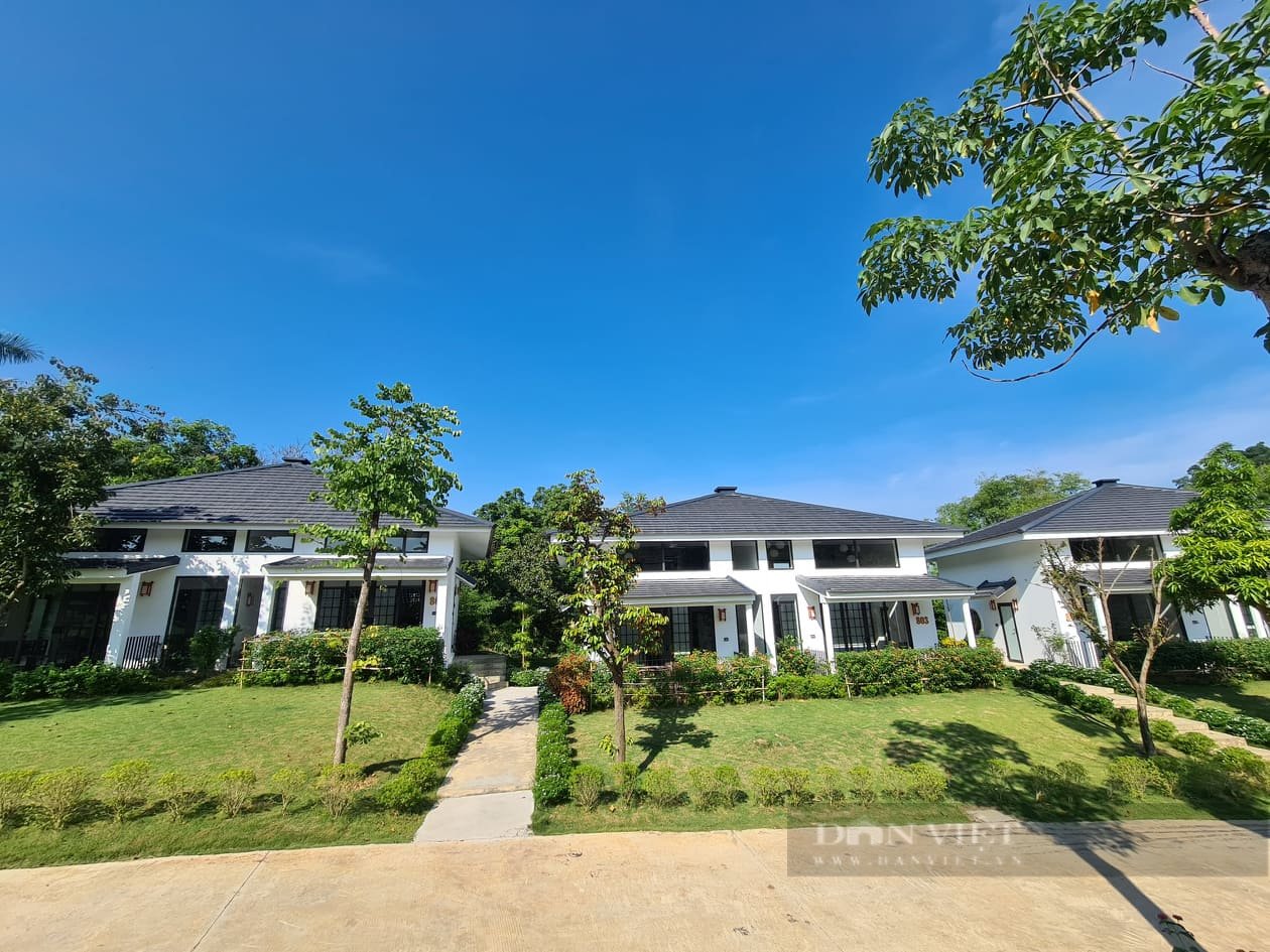 Bất động sản nghỉ dưỡng Hoà Bình đang trỗi dậy bất chấp dịch Covid-19 - Ảnh 1.