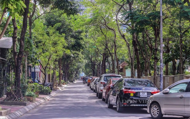Hà Nội có tên phố mang tên vợ chồng nhà thơ Lưu Quang Vũ và Xuân Quỳnh - Ảnh 2.