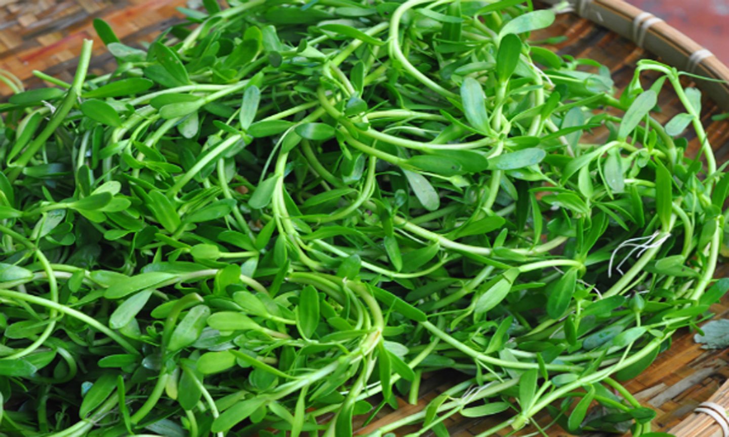 Chợt thèm rau đắng nấu canh - Ảnh 1.