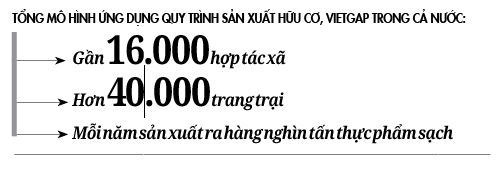 Chìa khóa thành công của các hợp tác xã - Ảnh 3.