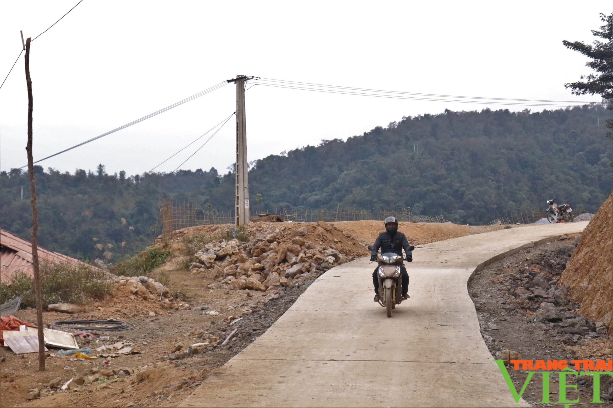 Nông thôn Tây Bắc: Nông nghiệp Quỳnh Nhai nỗ lực vượt khó - Ảnh 6.