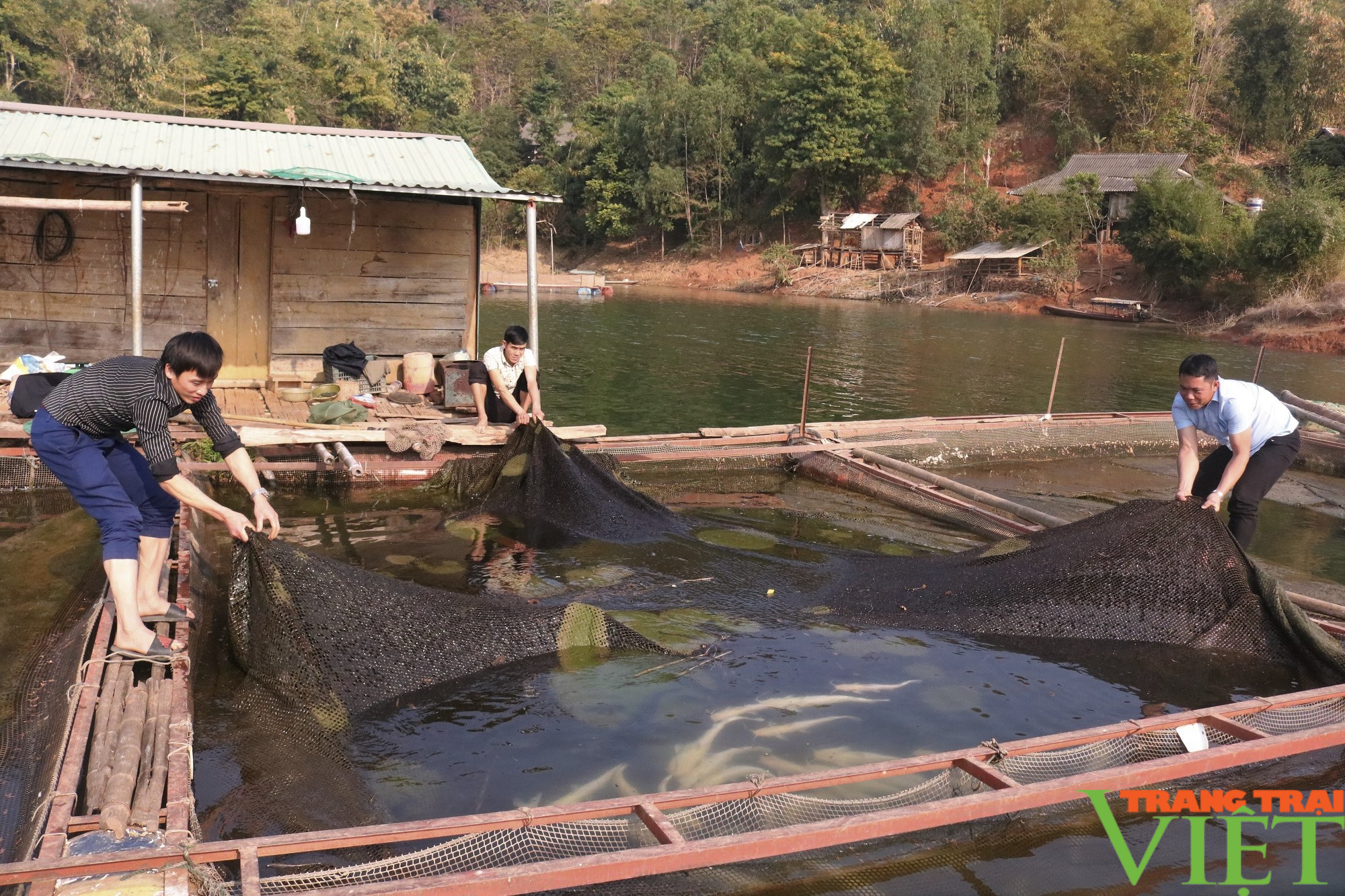 Nông thôn Tây Bắc: Nông nghiệp Quỳnh Nhai nỗ lực vượt khó - Ảnh 4.