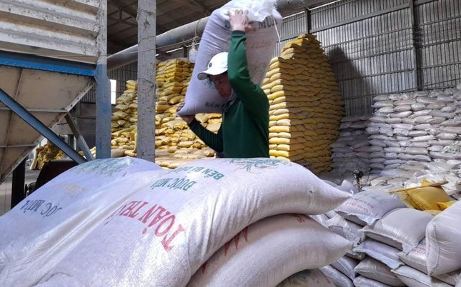 Điểm yếu nhất trong chuỗi giá trị lúa gạo là những người trồng lúa - Ảnh 6.