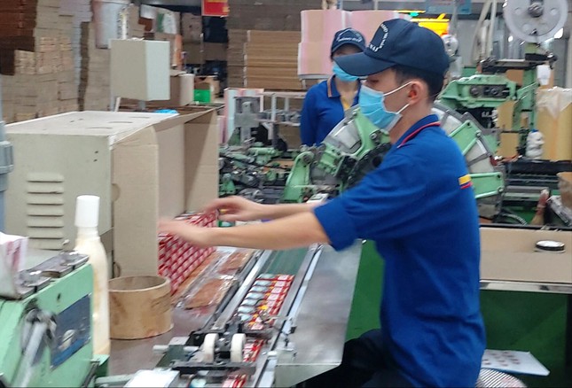 Thu hút vốn FDI Vùng kinh tế trọng điểm phía Nam: Tăng mạnh - Ảnh 2.