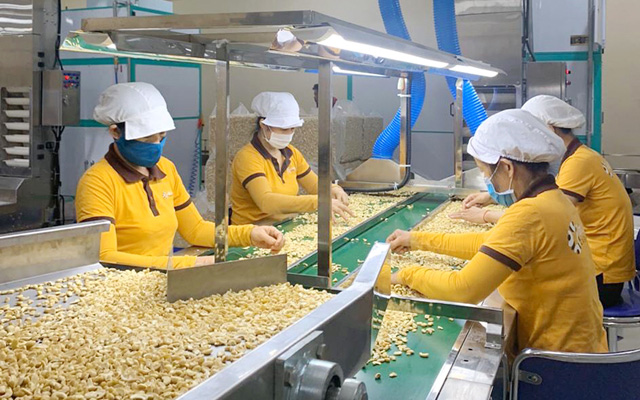 Từ khi thuế suất chỉ còn 0%, mặt hàng này của Việt Nam "hấp dẫn không thể cưỡng" với người châu Âu - Ảnh 2. Từ khi thuế suất chỉ còn 0%, mặt hàng này của Việt Nam "hấp dẫn không thể cưỡng" với người châu Âu - Ảnh 2.