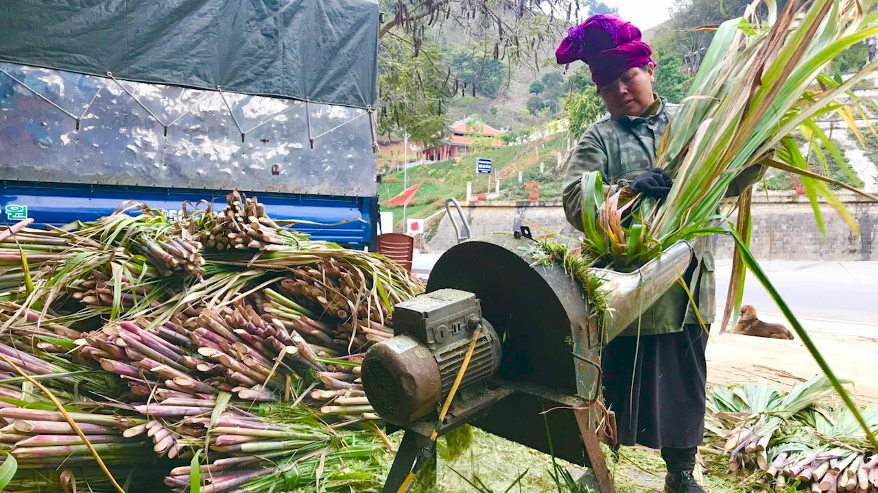 Người phụ nữ Thái làm giàu từ mô hình nuôi trâu, bò vỗ béo - Ảnh 2.