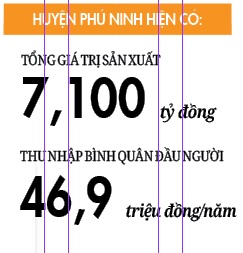 Phú Ninh chuyển mình - Ảnh 2. Phú Ninh chuyển mình - Ảnh 2.