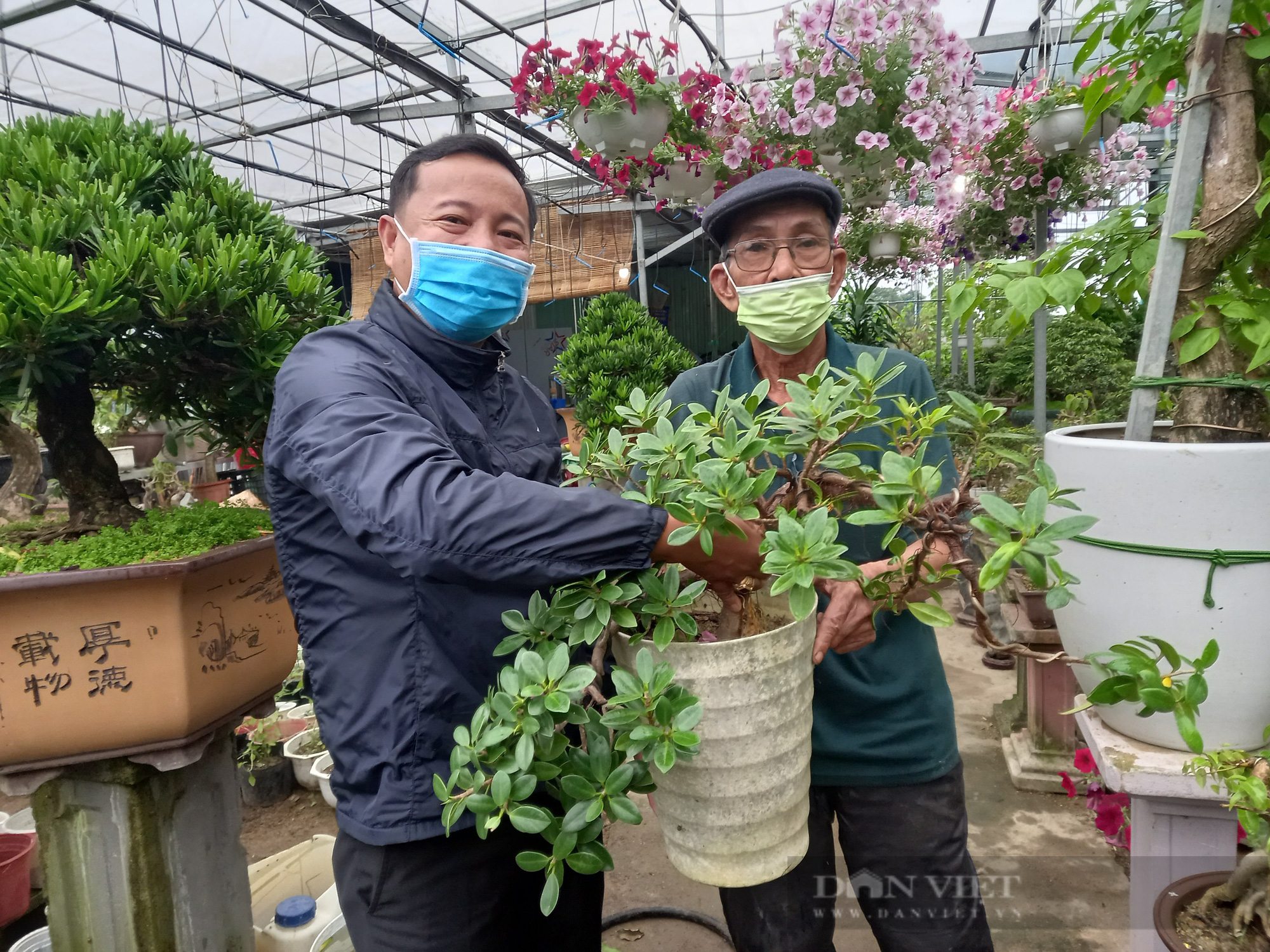 Đà Nẵng: Đam mê hoa cây cảnh, một nông dân “bỏ túi” hơn 500 triệu đồng/năm - Ảnh 5.