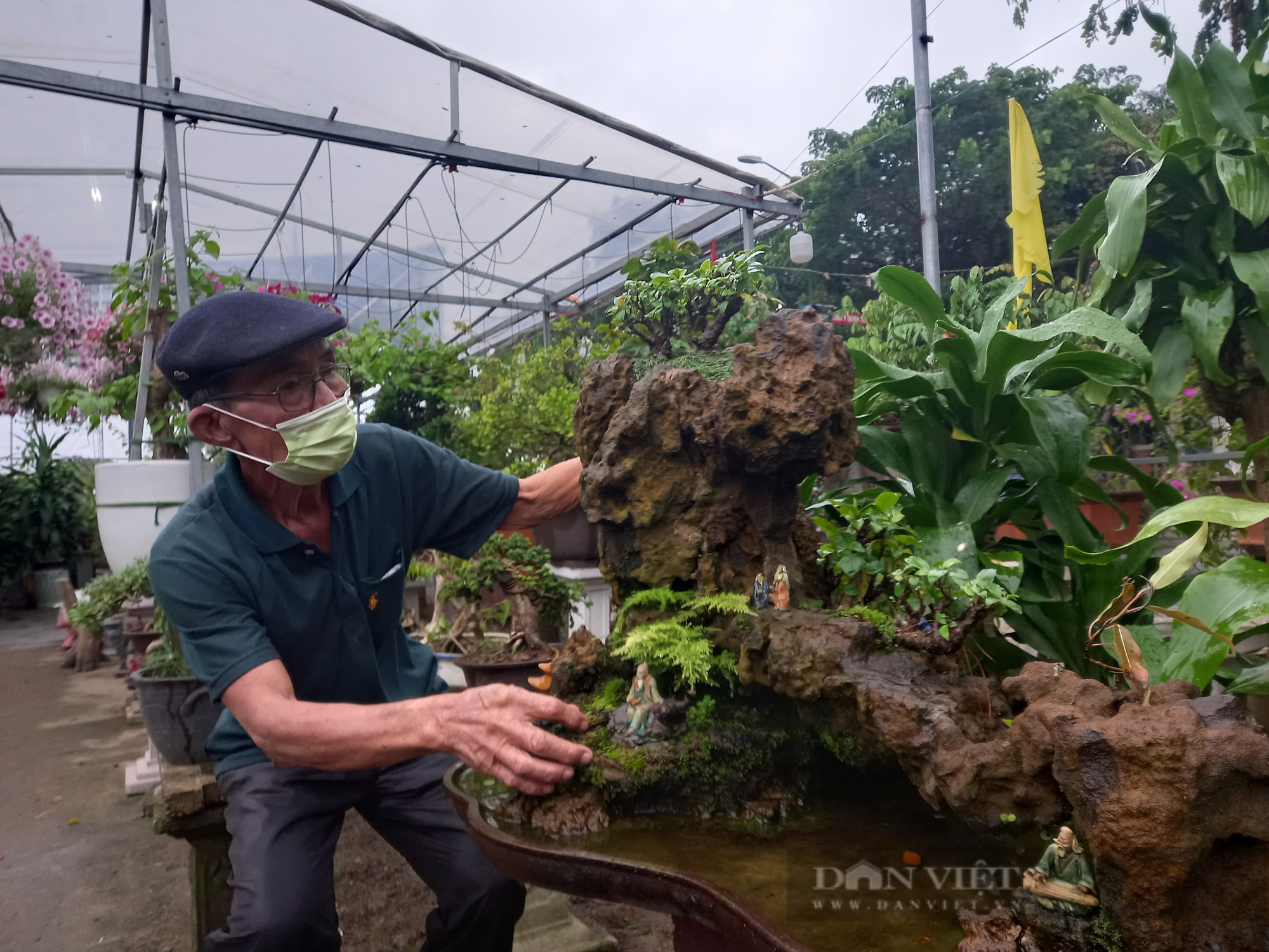 Đà Nẵng: Đam mê hoa cây cảnh, một nông dân “bỏ túi” hơn 500 triệu đồng/năm - Ảnh 4.