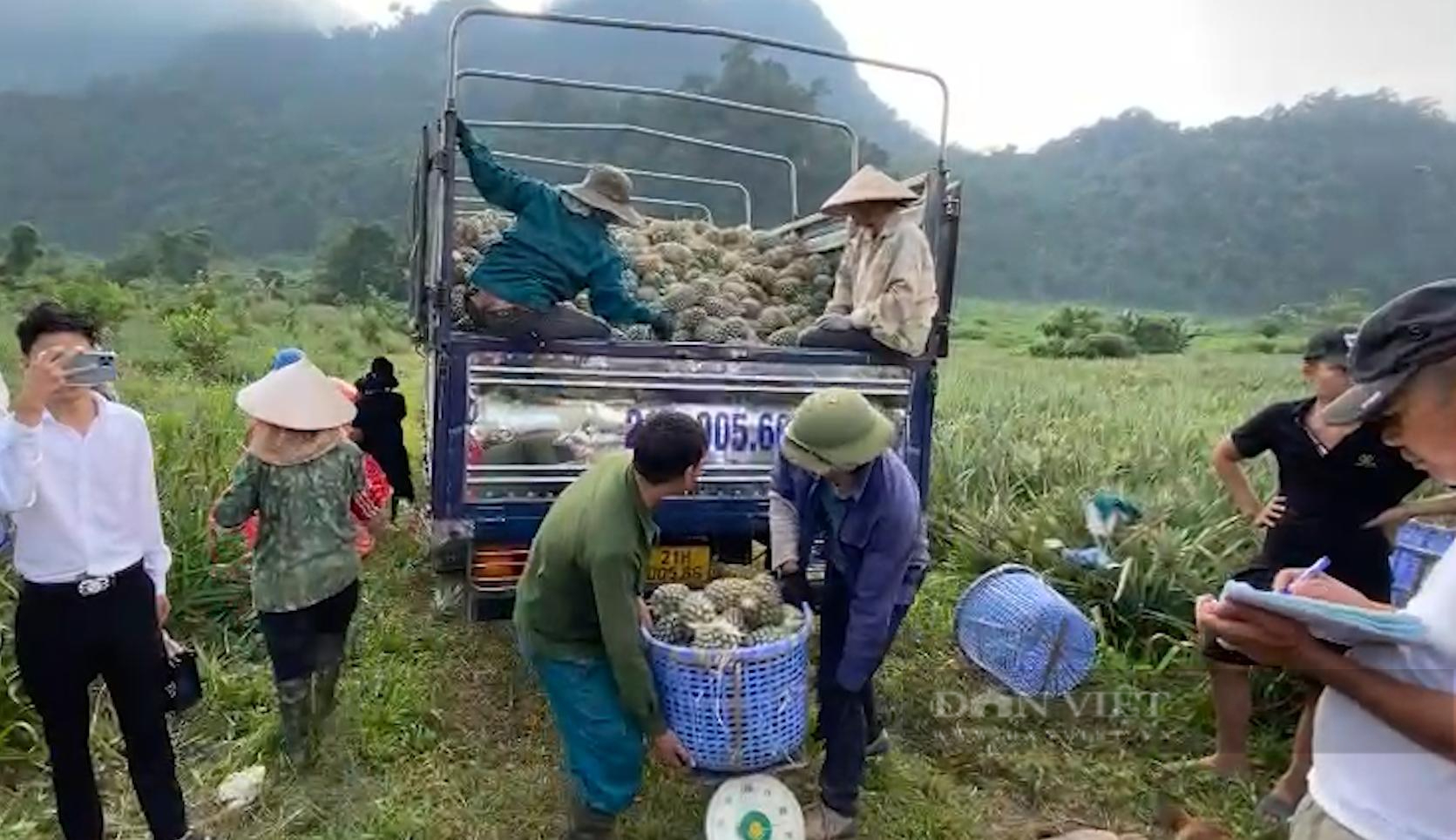 Lên Lai Châu xem bà con trồng cây ăn quả sản xuất hàng hoá - Ảnh 4.