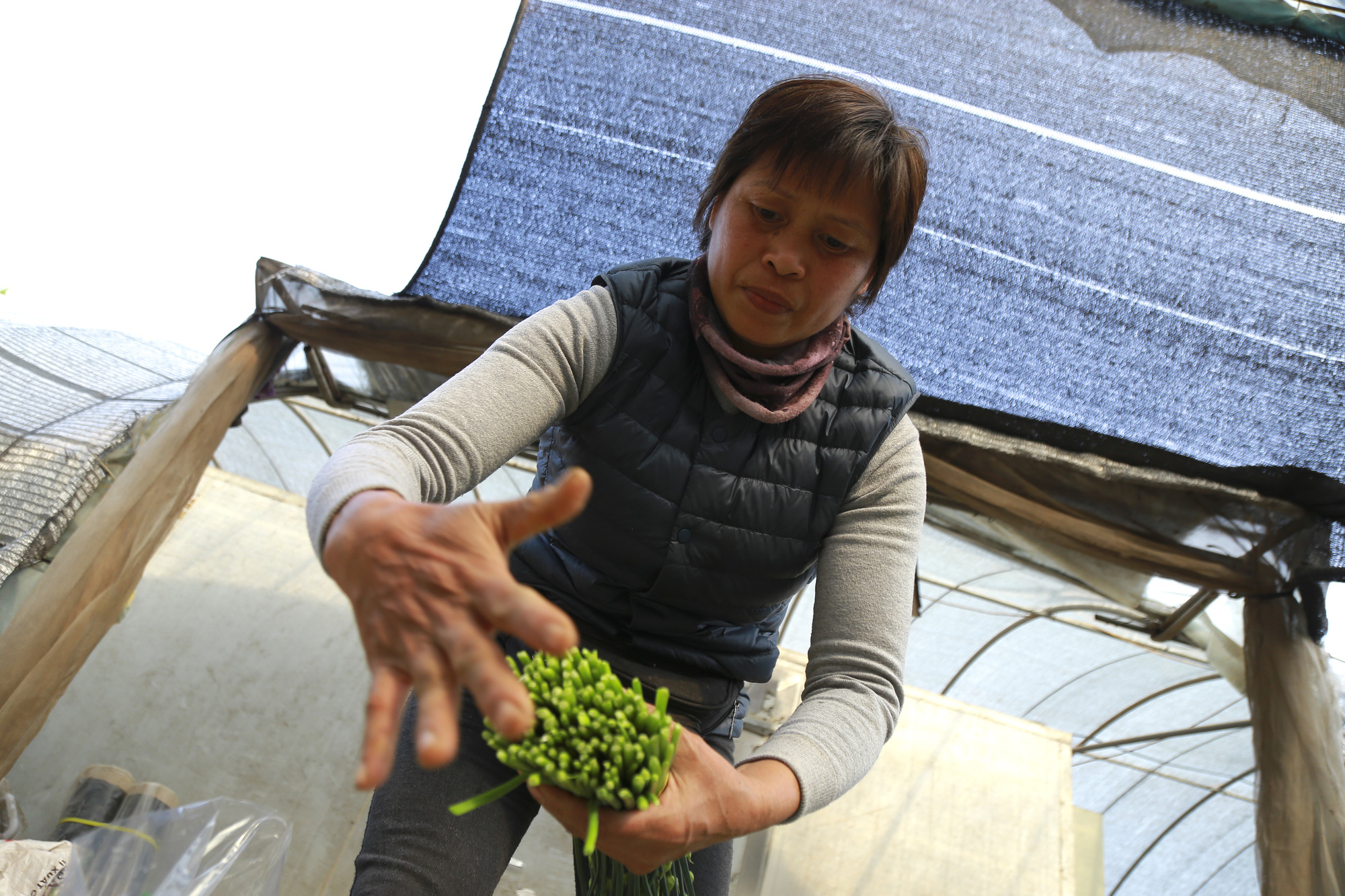 Nữ tỷ phú trồng rau hữu cơ Đặng Thị Cuối được vinh danh là Công dân Thủ đô ưu tú - Ảnh 1.
