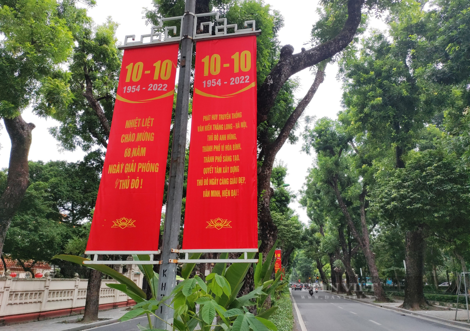 Hà Nội bình yên chào mừng ngày Giải phóng Thủ đô - Ảnh 4.