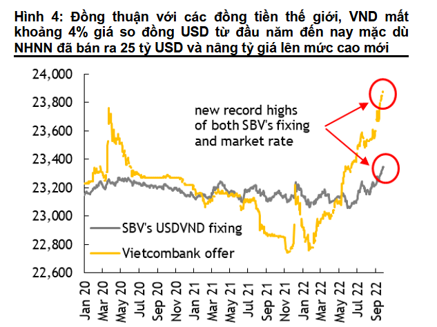 VND có thể mất giá tới 5% so với USD, doanh nghiệp "khóc ròng" - Ảnh 1. VND có thể mất giá tới 5% so với USD, doanh nghiệp "khóc ròng" - Ảnh 1.