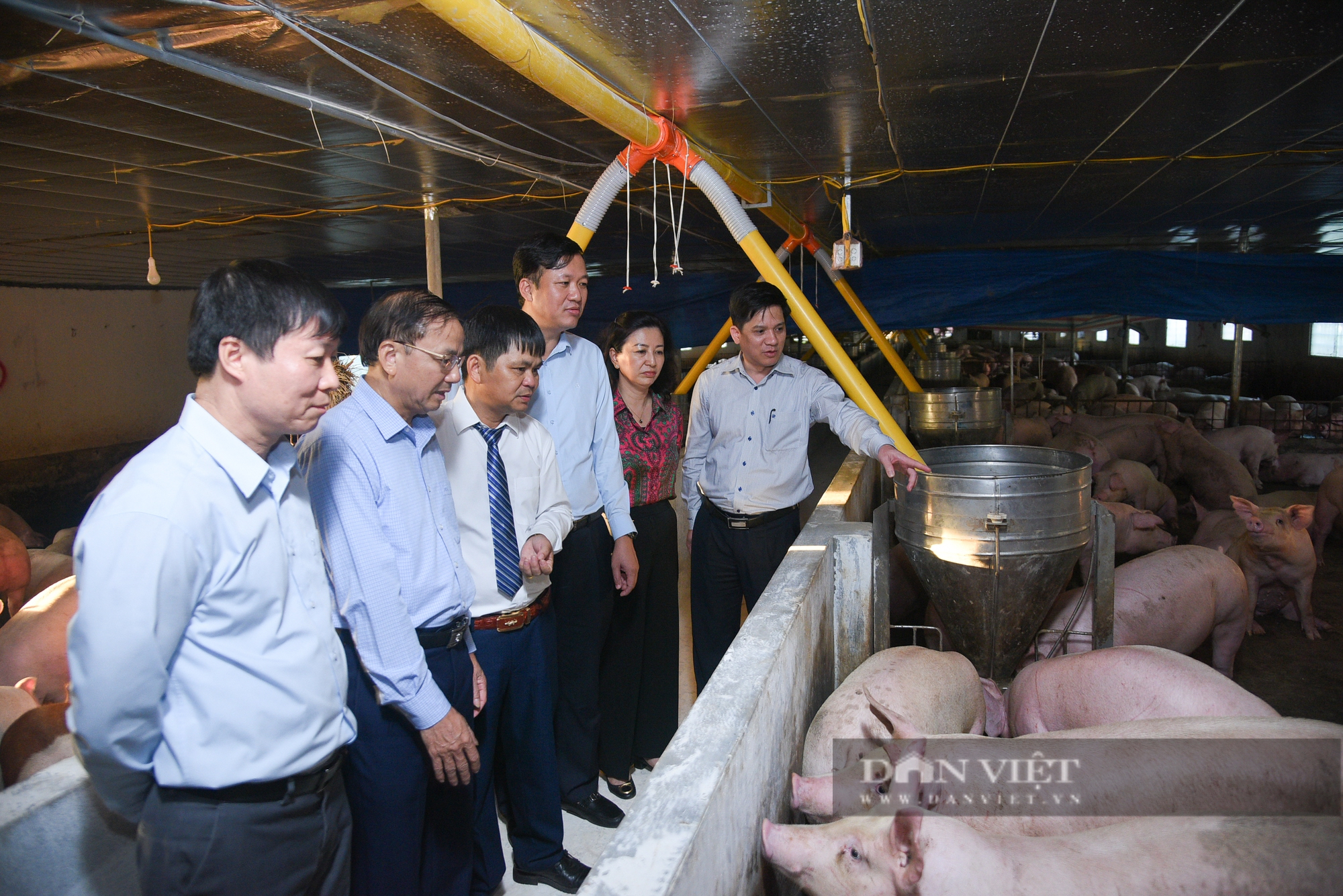 Hình ảnh báo NTNN/Dân Việt gặp gỡ, giao lưu với các Nông dân Việt Nam xuất sắc tỉnh Bắc Giang - Ảnh 13.