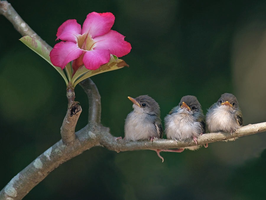 Ai sinh ngày Âm lịch này trí tuệ minh mẫn, giỏi kiếm tiền, cuối năm vượt khó làm giàu - Ảnh 4.
