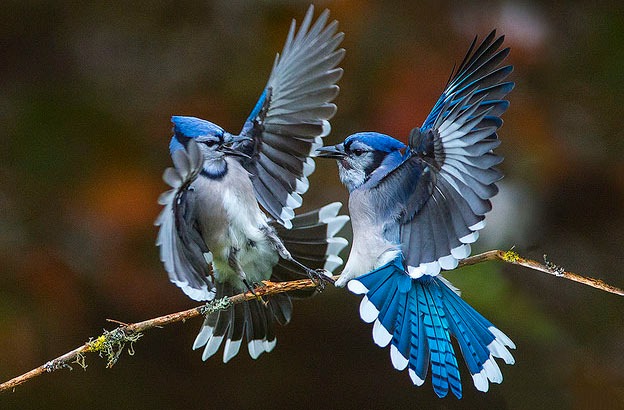 Ai sinh ngày Âm lịch này trí tuệ minh mẫn, giỏi kiếm tiền, cuối năm vượt khó làm giàu - Ảnh 1.