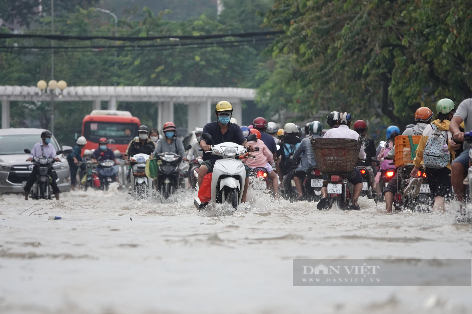 Triều cường ở Cần Thơ liên tục dâng cao, học sinh phải tự học tại nhà - Ảnh 2.