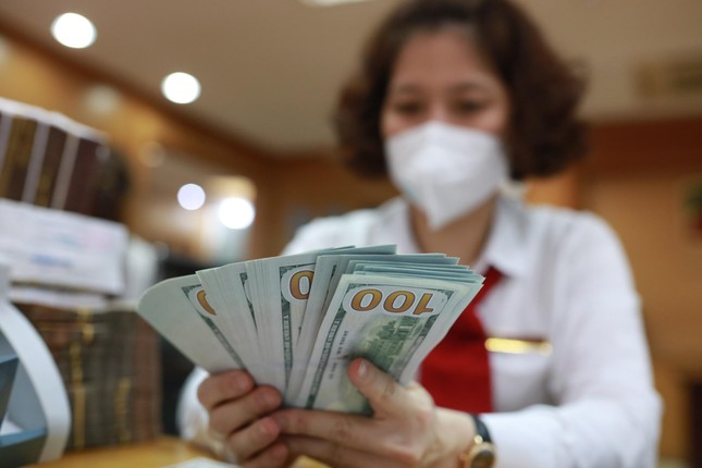 VND có thể mất giá tới 5% so với USD, doanh nghiệp "khóc ròng" - Ảnh 2. VND có thể mất giá tới 5% so với USD, doanh nghiệp "khóc ròng" - Ảnh 2.