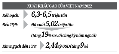 Nhiều cơ hội vượt mục tiêu xuất khẩu gạo - Ảnh 2.