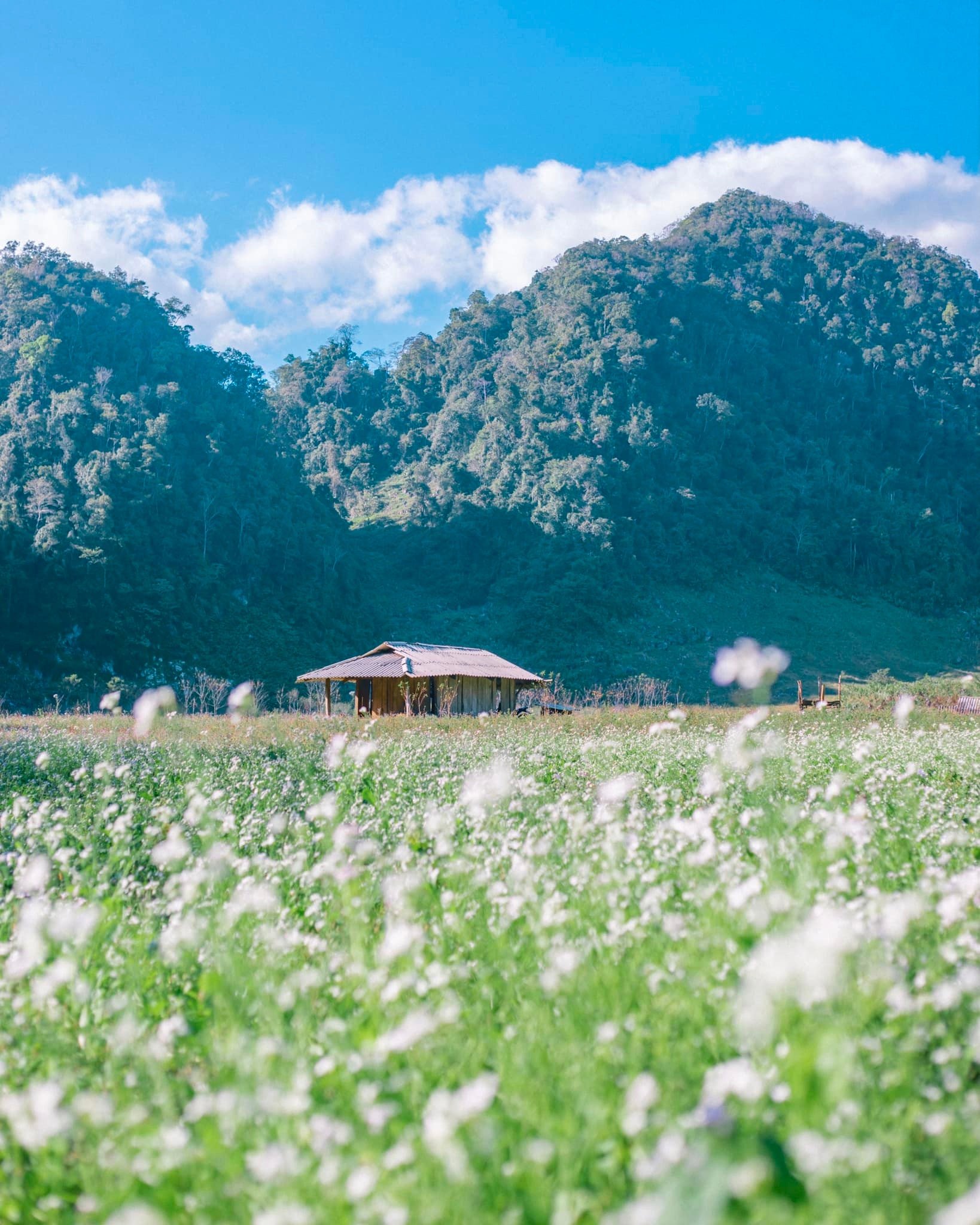 Ngỡ ngàng với những ngôi làng nhuốm màu thời gian trải dài khắp Việt Nam - Ảnh 9.