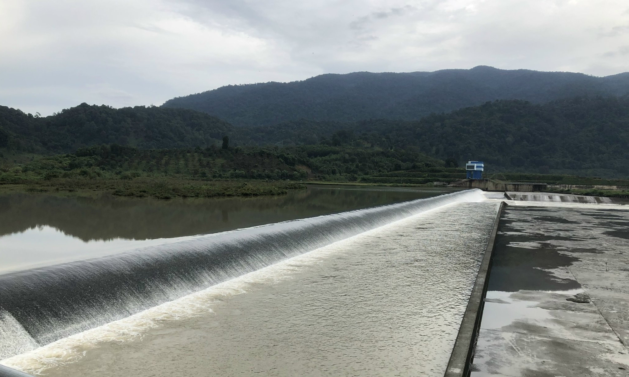 Hành trình đưa Gạo Tánh Linh ăn ngon, nổi tiếng trong và ngoài nước - Ảnh 7.