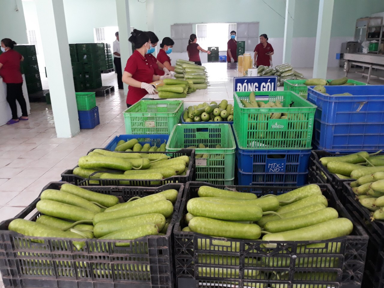 Hơn 20 xây dựng kinh tế tập thể, huyện Củ Chi nhìn nhận và đánh giá - Ảnh 1.