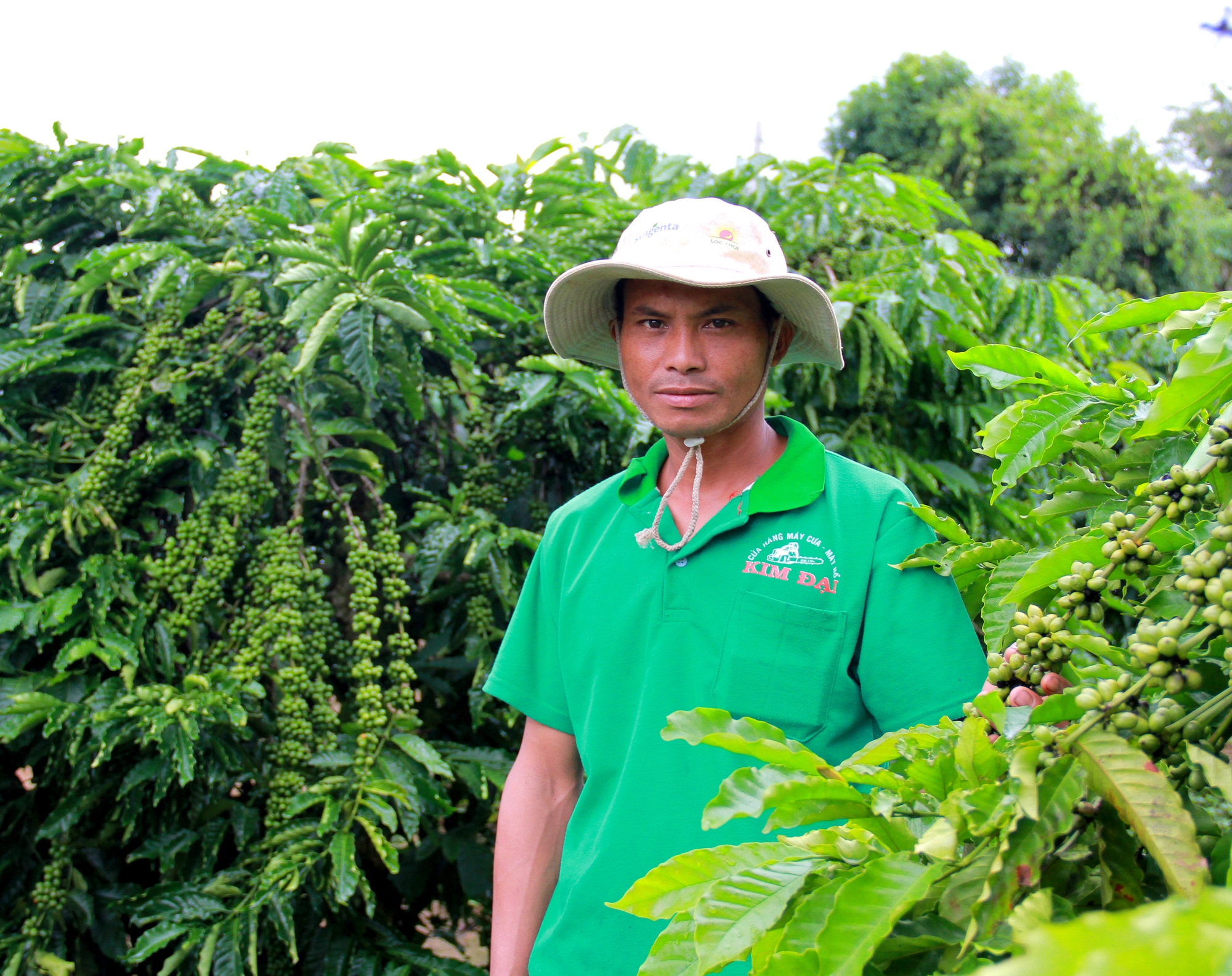 Nông dân Việt Nam xuất sắc: Những tấm gương sáng sản xuất kinh doanh giỏi người đồng bào dân tộc thiểu số - Ảnh 2.