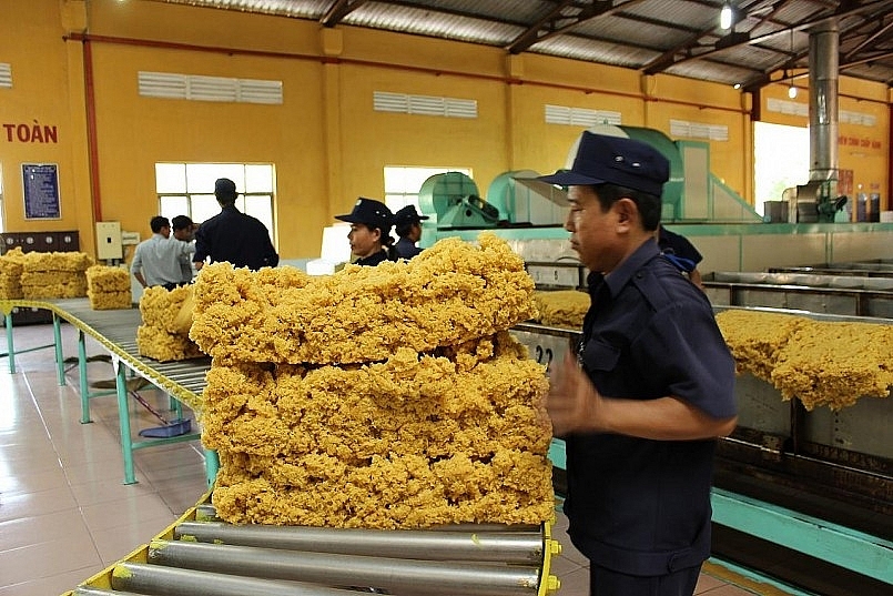 Nguồn cung dư thừa, giá cao su sẽ còn "lao dốc"? - Ảnh 2. Nguồn cung dư thừa, giá cao su sẽ còn "lao dốc"? - Ảnh 2.