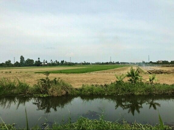 Kể chuyện làng: Khắc khoải tình bạn thuở ấu thơ  - Ảnh 2.