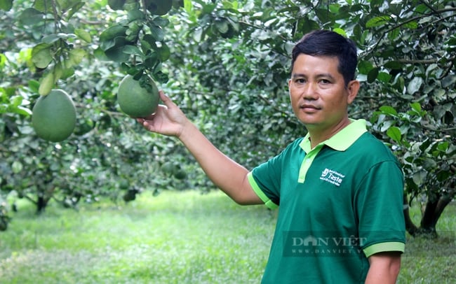 10 kỷ lục ấn tượng của 100 Nông dân Việt Nam xuất sắc 2022, có tỷ phú nuôi tôm có doanh thu 70 tỷ/đồng - Ảnh 3.