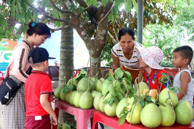 Quảng Nam: Nông Sơn phát triển sản phẩm OCOP theo chuỗi giá trị - Ảnh 1.