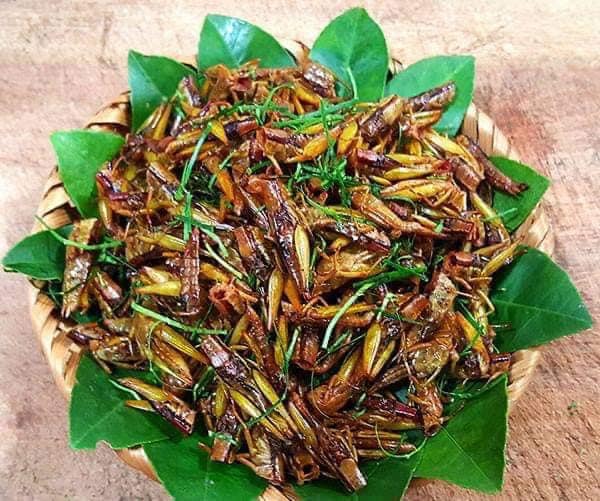 Kể chuyện làng: Châu chấu rang, hồi ức đẹp những ngày thơ ấu - Ảnh 2.