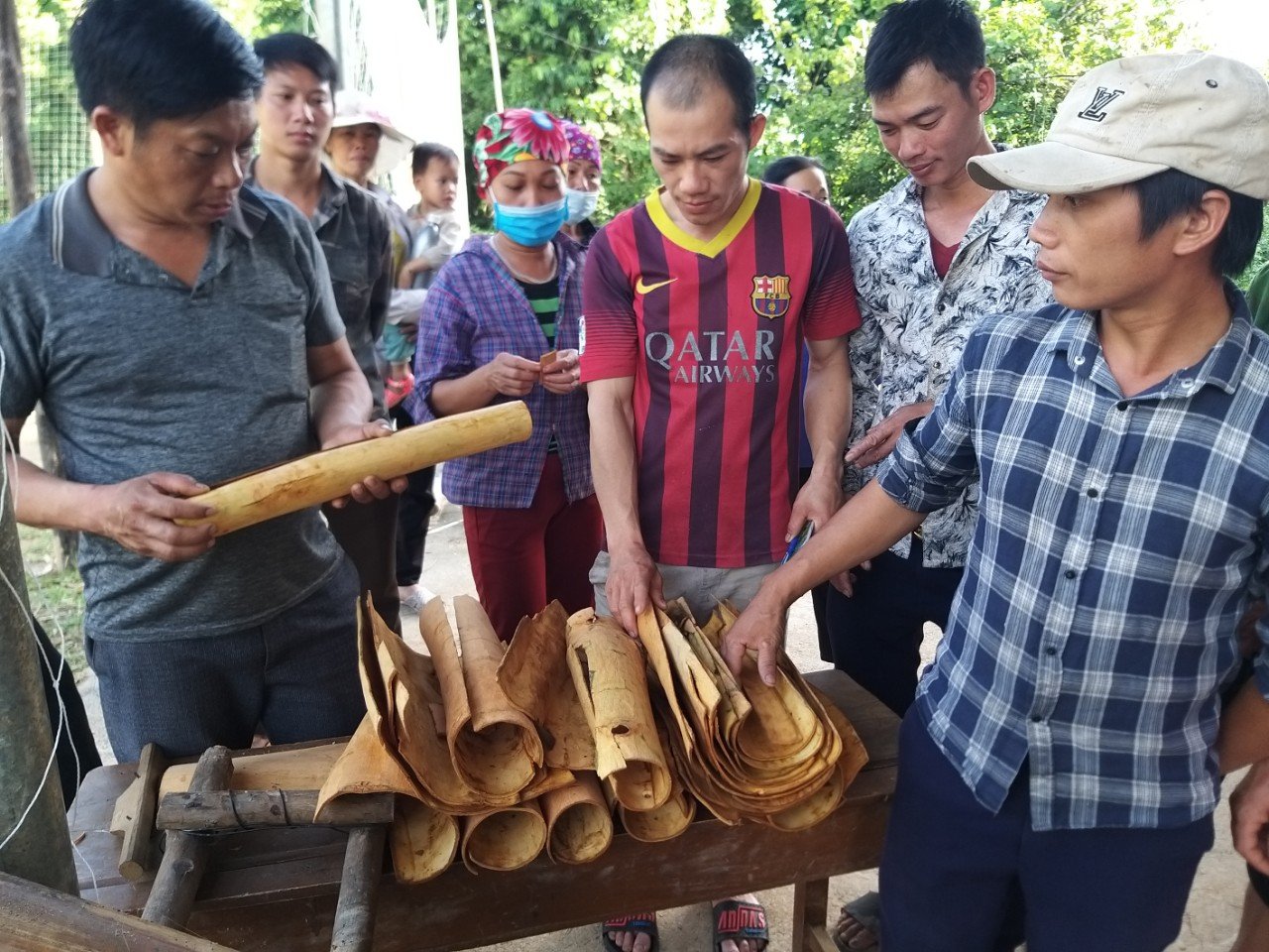 Một loại vỏ cây nhìn như củi khô, quý cỡ nào mà giá bán 100 triệu/tấn, đặc biệt tinh dầu giá nửa tỷ đồng? - Ảnh 1.