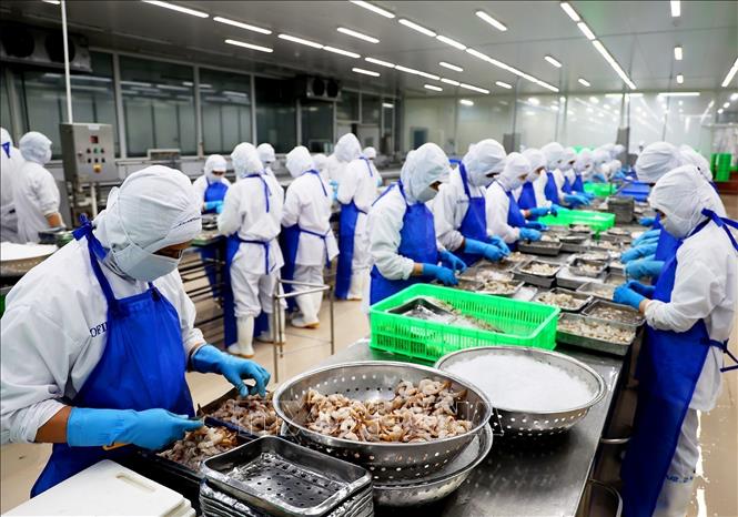Thách thức khi đạt mục tiêu tăng trưởng GDP từ 6,5 - 7% giai đoạn 2021 - 2025 - Ảnh 2.