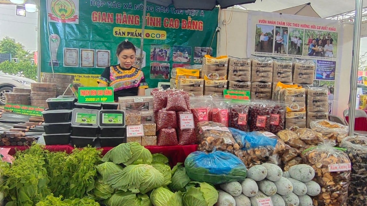 Gian hàng OCOP Cao Bằng bán những đặc sản gì mà thu đều đều 25 - 50 triệu đồng/ngày? - Ảnh 3.