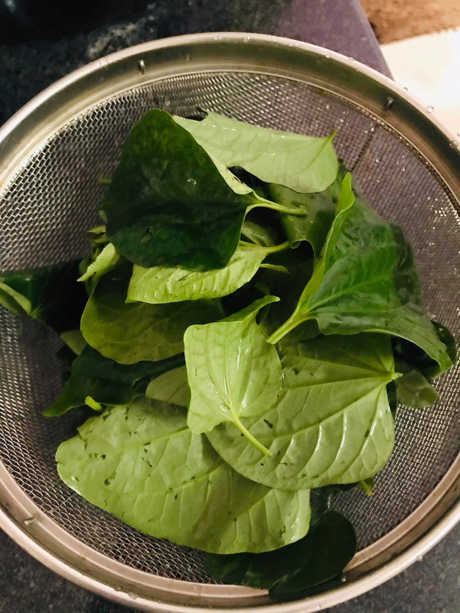 Cá bớp nấu lá lốt vừa ngon vừa bổ - Ảnh 1.