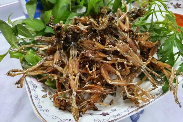 4 đặc sản miền Tây trông khiếp vía nghe giá mới &quot;hốt hoảng&quot; - Ảnh 1.